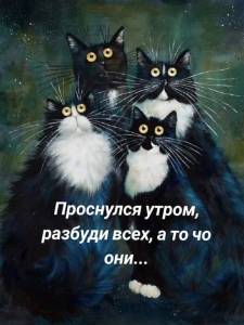 0fa3c41df81da35872506cb6784c0078.jpg