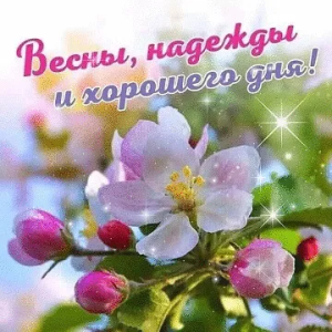 111a6e70-a512-421e-b9f2-77f1f03a8258.png