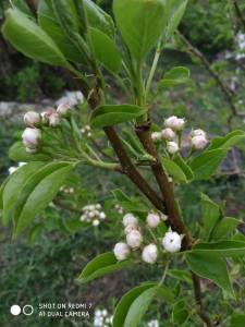IMG_20250513_123818[1].jpg