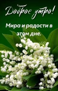 1291580861_WhatsApp2025-05-1110_05.50_7b934396.thumb.jpg.09e26b6e69954e668fcce51df3513ffb.jpg