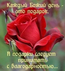 1676639613_gagaru-club-p-otkritki-blagoslovennogo-dnya-krasivie-pin-29.thumb.jpg.f4510722cc29a36376e1f19f417ae6f8.jpg