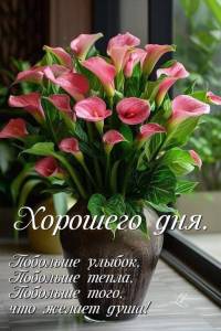 19d694cd43d21ed0e858b898d1163f5a.jpg