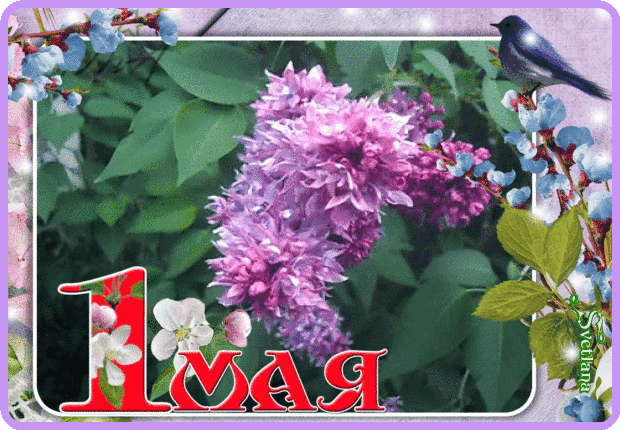 1aa20732a2a10bddcbfddbf9adaf77a20.gif