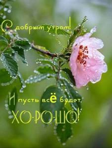 1cea8bb2ac755f6b12e999a49b7d119b.thumb.jpg.3415f4b598266e326ac291eb0c1abd79.jpg