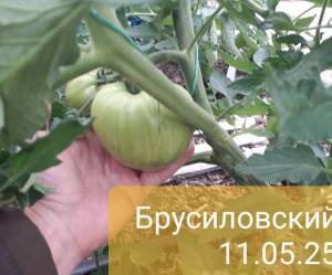 20250512_170338.jpg