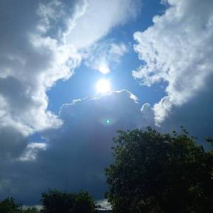 20250519_081154.thumb.jpg.fe07013991cee5d11f1a93e62cd32adb.jpg