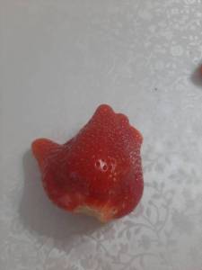 20250521_161229.jpg
