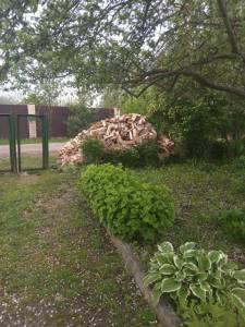 20250528_120159.thumb.jpg.567772515a8a0a4ba0d77875dcb4e8cb.jpg