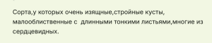 геннративные томата.png
