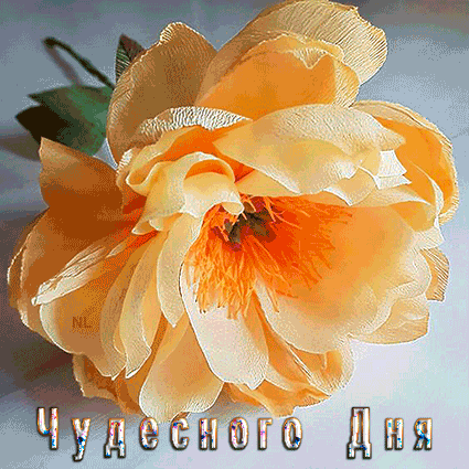 346155c50ecf4b47134b759d9982651c.gif