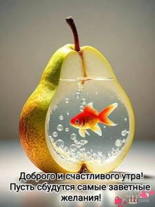 382b4cbec8e68ccbde733b4246e27947.jpg