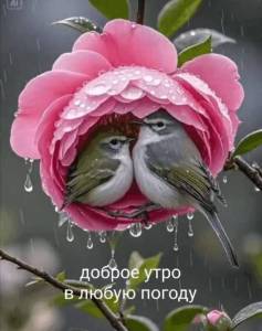 3bd300c7c32cc967416331ffe2ffa6c4.jpg
