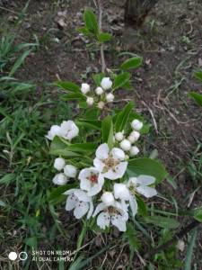 IMG_20250513_123810[1].jpg