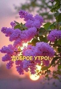 47356e88874cee5d1eaf90219d92b26a.thumb.jpg.5667176751eef749dd88e664ae1e4c41.jpg