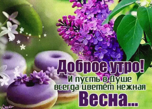 47445ce4-87d8-4266-a1d8-0c2ca365848d.png