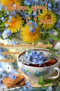 58709-dobroye-utro-s-1-maya-zhelayem-solnechnoy-pogody-i-priyatnogo-otdykha.jpg