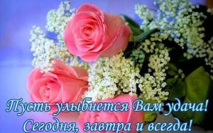 5d1adba9-20c9-4d5d-a07d-dc869e93e8ae.png