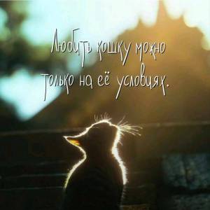 62d5406065bf7eaa7e96363e0fa9dbb3.thumb.jpg.36b8175ff089d286ba450cbc295fbfc4.jpg