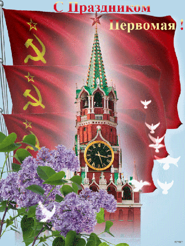 6815344fce1a59b7de09721016a1a06b.gif