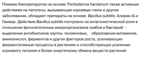 Screenshot 2024-01-31 at 17-11-17 Биопрепараты - основа профилактики заболеваний на рассаде - АгроБиоТехнология.png
