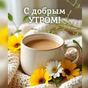70316543-ed27-482a-9db0-cb7486c8322e.png