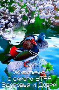 71610bc4-c132-4739-9e90-1237b5d79ea6.png