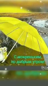 71f0769a544c2ab556ec33e36cef51f8.thumb.jpg.2a2c65036541110f1295bdb6e476d05c.jpg