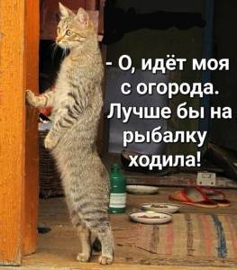 725e320e6470c1a6f65a6f19373e1efc.thumb.jpg.35ff6a43d7771c7e263bcfc58b64c781.jpg