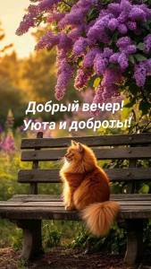 7282286e44d71ae1f204b931553030e2.jpg