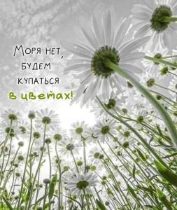 75e571e9cba4d12123b65903dae18b27.thumb.jpg.56a0d04ed882cd548308faa9505a08b3.jpg