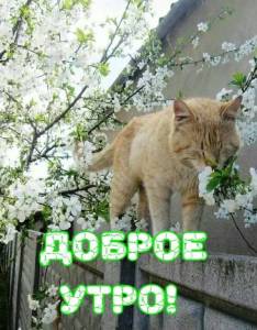 7d7bd7e2cc608df4c39dd4714c87a595.thumb.jpg.f62a77a1e51213b6763347d07a62cdd2.jpg
