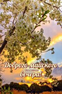 827cbe8df066b8622a90afbd7827f6f0.thumb.jpg.dd8975070692b99e9f94664b98d393f4.jpg