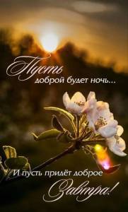 8529ce5e5736e7c411c8d57333c6eb69.thumb.jpg.3ee267adda0f581e992916a1642db234.jpg