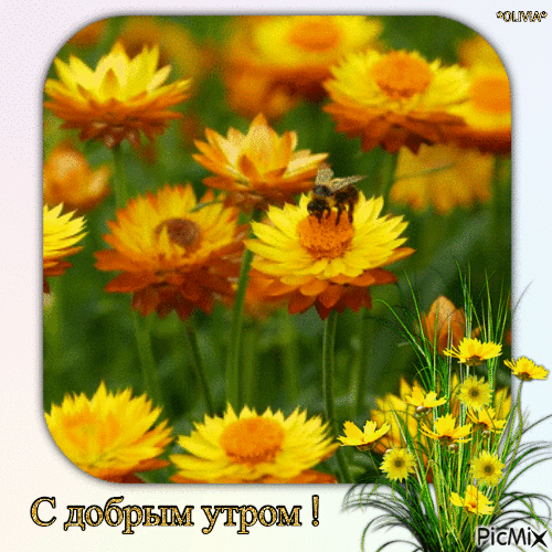 9232659_df171.gif