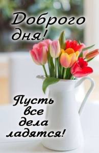 92f96e0b51cc1a6acb0a7a958c0ccb4f.jpg