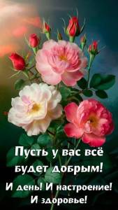 99881344072d64acd4c777d4770d39d6.jpg