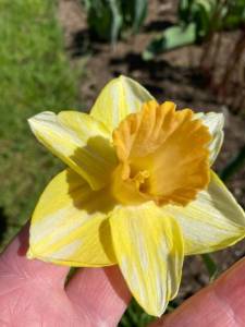 A237D207-F3DF-4911-B0BD-681DC2F03BE5.jpeg