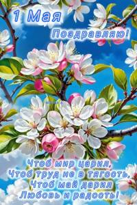 DB952438-67E3-4A1B-94C7-B4582311F2F2.thumb.jpeg.afe4fe11903b69ba103a7e8ed90f769d.jpeg