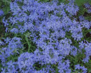DSC02047.JPG