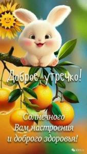 IMG-20241022-WA0003.jpg