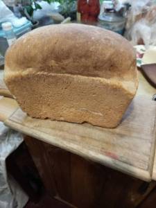IMG-20250423-WA0076.jpeg
