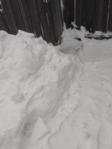 IMG-20250429-WA0001.thumb.jpg.ec0f5bd2ec1655c7958a41a839940484.jpg