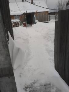 IMG-20250429-WA0002.thumb.jpg.9ca73829f81e4d8fb16030ce4b821f1b.jpg
