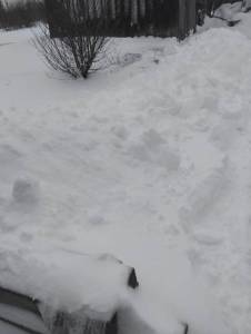 IMG-20250429-WA0005.jpg