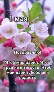 IMG-20250501-WA0004.jpg