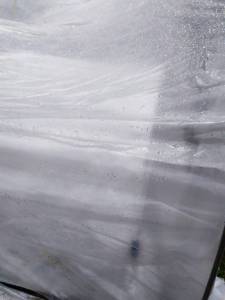 IMG-20250501-WA0007.thumb.jpg.816650101b25d0d1d7ceee06a7bd503d.jpg