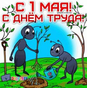 IMG-20250501-WA0012.jpg