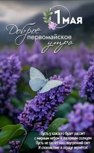 IMG-20250501-WA0013.jpg