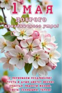 IMG-20250501-WA0016.jpg