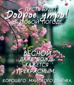 IMG-20250502-WA0000.jpg